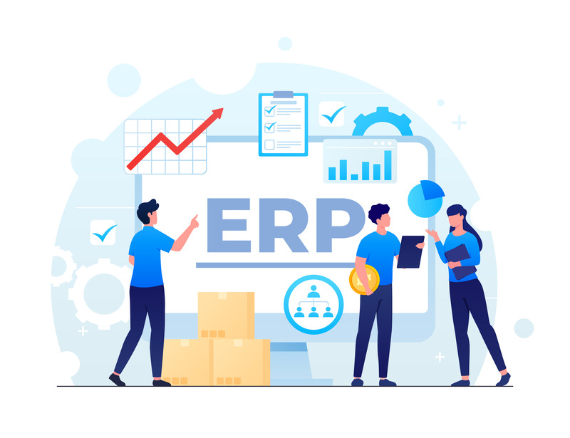 ERP Consultancy